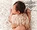 Feather Natural Angel Butterfly Wings, Newborn, Baby, Photo Prop Choose Colors or Glitter TAN