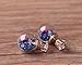 2016 Newst Real Flower earrings, double sided stud, Natural dry Flower, Mini Stud Earring (Navy blue)
