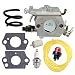 Panari C1Q-EL24 Carburetor + Fuel Line Filter Tune Up Kit for Husqvarna 123 223 322 323 325 326 327 123C 223L 322C 323R Trimmer Brushcutter Pole Saw Edger primary