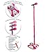 Karaoke Disco Light Adjustable Mic & Speaker Stand! Includes 12 pre-Loaded Popular Songs and Connects to iPods, Smartphones & MP3 Players (Pink)
