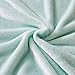Luxury Collection Ultra Soft Plush Fleece Lightweight All-Season Throw/Bed Blanket (Throw (50-Inch-by-60-Inch), Turquoise)