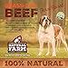 Natural Farm Odor-Free Braided Bully Sticks (6 Inch, 10 Pack) - 100% Grass-Fed Beef, Grain-Free, Low Fat & Fully Digestible Dental Treats - Safest Long Lasting Pizzle Chews to Keep Your Dog Busy
