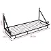 ZESPROKA FBA_JW-SL5E-AJVR Kitchen Wall Pot Pan Rack,with 10 Hooks,Black