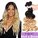 Ombre Brazilian Hair Body Wave Bundles 3pcs, Ombre Brazilian Virgin Hair Human Hair Weave Two Tone Black to Blonde (T1B/27,10