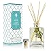 LUXE Home Alpine Balsam Fir Holiday Reed Diffuser Oil Sticks Set | Christmas Tree Scent with Evergreen, Pine & Woodsy Notes | Festive Christmas Decor Makes a Great Gift Idea