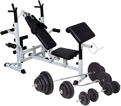 Vidaxl Banc D Entrainement Avec Support De Poids Jeu D Halteres 120 Kg Fitness Amazon Fr Sports Et Loisirs