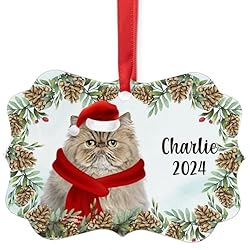 Ticked Tabby Persian Cat Christmas Ornament 2024