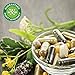 Swanson Amino Acid Ajipure L-Arginine with L-Citrulline 60 Veg Capsules
