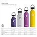 HYDRO FLASK Standard W Flex Cap Raspber 24 Ounce, 1 EA