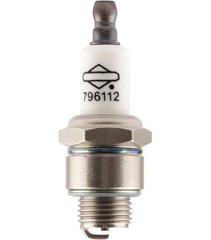 Amazon.com : OEM Champion SPARK PLUG for Briggs & Stratton 293918