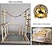 QBLEEV Parrot Wood Stand Perch Bird Playstand Playground Playgym Playpen Ladder with Toys Exercise Play (Include a Tray)（19″ L13 W21 Hthumb 3