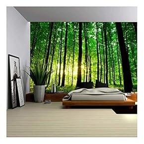 BRAND_NAMESun Shining Through a Tall Tree Forest Wall Mural