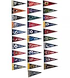 NHL Hockey Complete 31 Team 4x9 Mini Pennant Set (Includes Las Vegas Golden Knights)