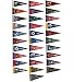 NHL Hockey Complete 31 Team 4x9 Mini Pennant Set (Includes Las Vegas Golden Knights)