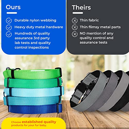 Blueberry Pet Essentials Martingale Safety Training Dog Collar