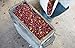Mexican El Mezcal Micro Lot Coffee Beans (Light Roast (City), 2.5 pounds Whole Beans)