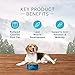 Blue Buffalo Wilderness High Protein, Natural Adult Healthy Weight Dry Dog Food, Chicken 4.5-lb