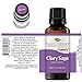 Plant Therapy Clary Sage Essential Oil 100% Pure, Undiluted, Natural Aromatherapy, Therapeutic Grade 30 mL (1 oz)