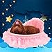 vmree Pet House Bed Pet Dog Puppy Princess Bows Lace Heart Bed Elegant Warm House (Pink)