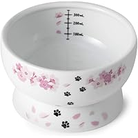 Amazon Best Sellers: Best Raised Cat Bowls