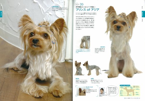 ヨーキー最旬ヘアアレンジカタログ 別冊家庭画報 世界文化社 本 通販 Amazon ヨーキー最旬ヘアアレンジカタログ 別冊家庭画報 世界文化社 本 通販 Amazon