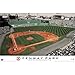 Fenway Park Sports Poster 22x34