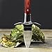 Oyster Knife by Archer - Premium Oyster Shucking Knife in Gift Box with Pakka Wood Handle, Mirror Finish Full Tang Blade, Hand-guard - Beautifully Made Compact Design Oyster Shell Shucker/Opener