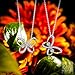 Gifts for Women NINASUN Golden Butterfly s925 Sterling Silver Pendant Necklace Swarovski Necklace Jewelry for Women Gifts for Wife Girlfriend Mom Grandma Sis Christmas Birthday Anniversary Mothers Day