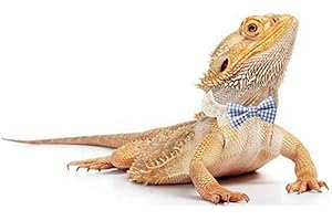 HAICHEN TEC Lizard Clothes Bearded Dragons Blue White Plaid Bowtie with Elastic Lace Decor Handmade Stretchy Bowknot Collar Outfit Reptile Apparel Accessories Photo Gift Lizard Clothes for Leopard Reptile Gecko