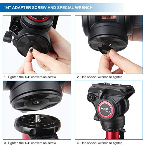 4 V501+Olympus+Panasonic+Tripods+Mounting