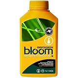 Bloom Yellow Bottles Groigen
