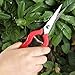 Gardening Hand Pruner 6.5″ Garden Scissors Ergonomic Pruning Shears Pofessional Micro-Tip Pruning Snips Leaf Trimmer Straight Pruning Shears Florist Scissorwith Stainless Steel Blades for Plantsthumb 2
