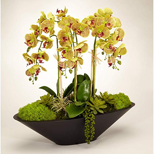 Orchid Arrangement in Metal Pot The Home Kitchen Store