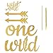 Baby's 1st Birthday Decorations- 12 Month Photo Banners,Wild One Birthday Banners,Wild One Cupcake Topper,the Wild One Party Supplies (wild one) (Gold)