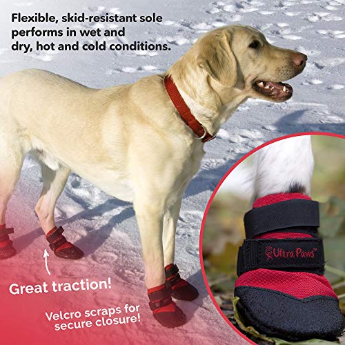 heavy duty dog boots