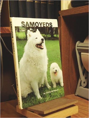Samoyeds �n�[�h�J�o�[ - 1980/6/2