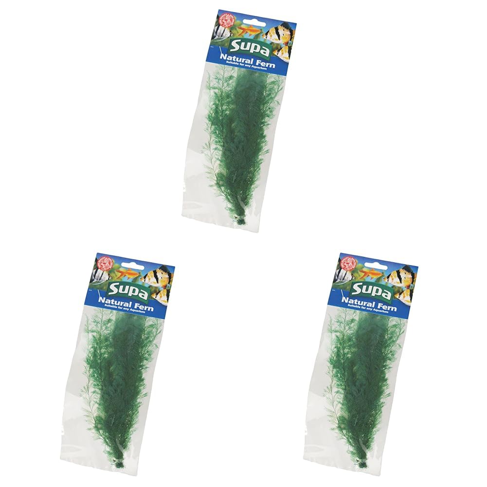 Supa Natural Large Size Green Coloured Fern, Attractive Decoration Which Adds Colour and Movement to Your Aquarium (Pack of 3)