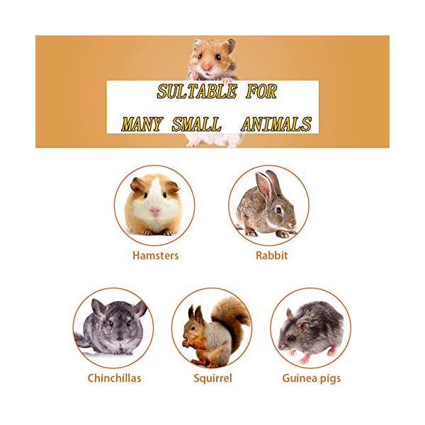 XIAO MO GU Bunny Chew Toys, 3 Types Rabbit Hamster Toys with Apple Wood Sticks Teeth Grinding Toy for Rabbits Bunny…