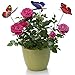 Antallcky 100pcs Butterfly Stakes Outdoor Yard Planter Flower Pot Bed Garden Decor, Butterflies Christmas Decorations, Fairy Garden Accessories Gardening Gifts