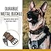 OneTigris Military Adjustable Dog Collar with Metal D Ring & Buckle 2 Sizes (Black, L)