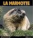 La marmotte (French Edition) by 