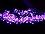 IREALIST 50 LED Lights Solar Powered Blossom Flower Garden String Fairy Lights with LED Waterproof Lights for Outdoor and Indoor Decoration (Purple)