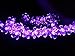 IREALIST 50 LED Lights Solar Powered Blossom Flower Garden String Fairy Lights with LED Waterproof Lights for Outdoor and Indoor Decoration (Purple)