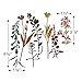 Sizzix Thinlits Die Set 661808, Wildflowers 2 by Tim Holtz, Multi Color, One Size