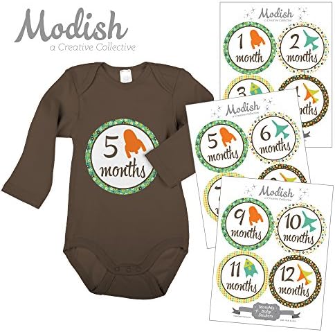 Modish LabelsMonthly Baby Stickers, Baby Milestone Stickers, Photo Prop, Baby Boy, Airplanes, Rockets, Baby Shower, Nursery, Baby Book Keepsake