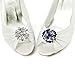 ELEGANTPARK AM Women Rhinestones Decoration Wedding Party Shoe Clips 2 Pcs Navy Blue