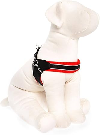 zooplus acana senior