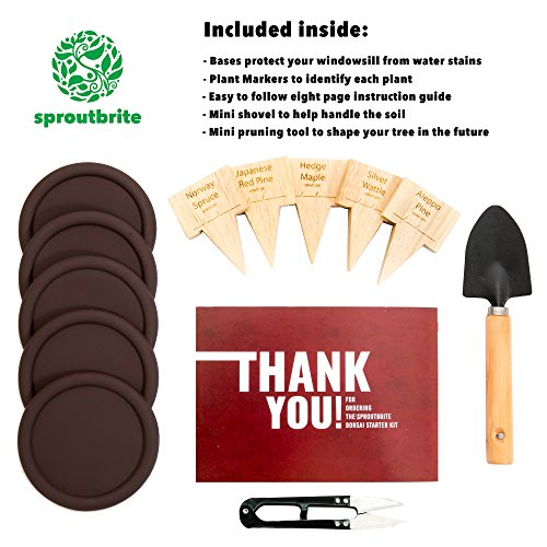 Sproutbrite Bonsai Tree Seed Starter Kit - Grow 5 Trees from Seed - The Most Complete Gardening kit for Growing Mini Bonsai Trees Indoors