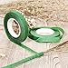 FENGWANGLI Green Flexible Paddle Wire and 5 Rolls 1/2