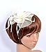 Womens Fascinator Hat with Headband Ivory